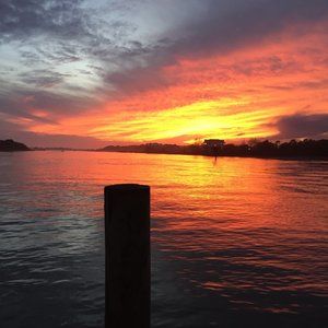 Meet your Posher, Jonah